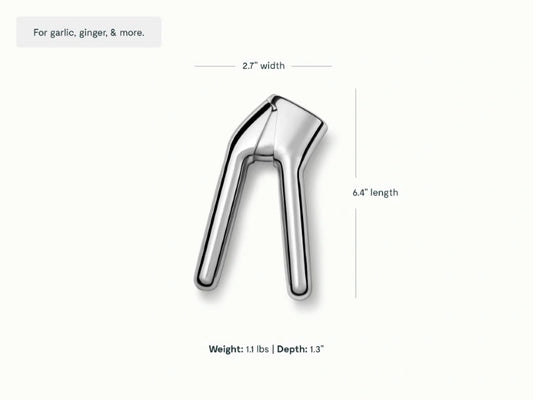 Stainless Steel Garlic Press