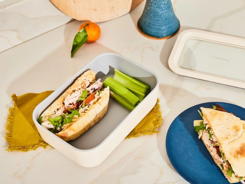 Medium Storage Container