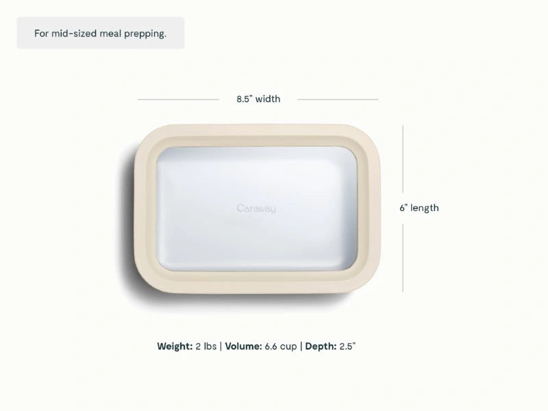 Medium Storage Container